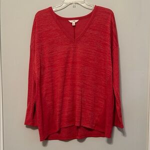 Terra & Sky Scarlet V-Neck Tunic